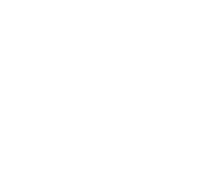 Allison Homes